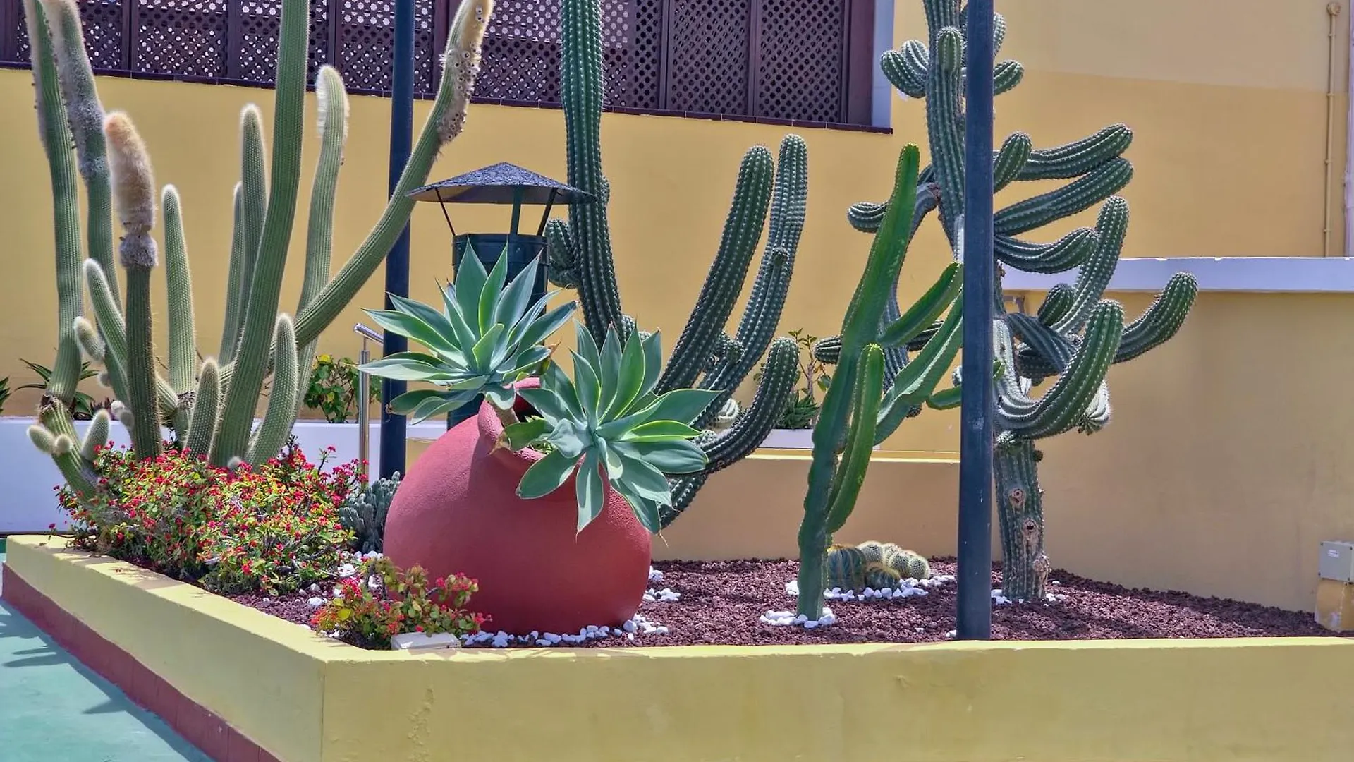 Apartment Casa Nonna By Helloapartments Playa de las Americas  Spain
